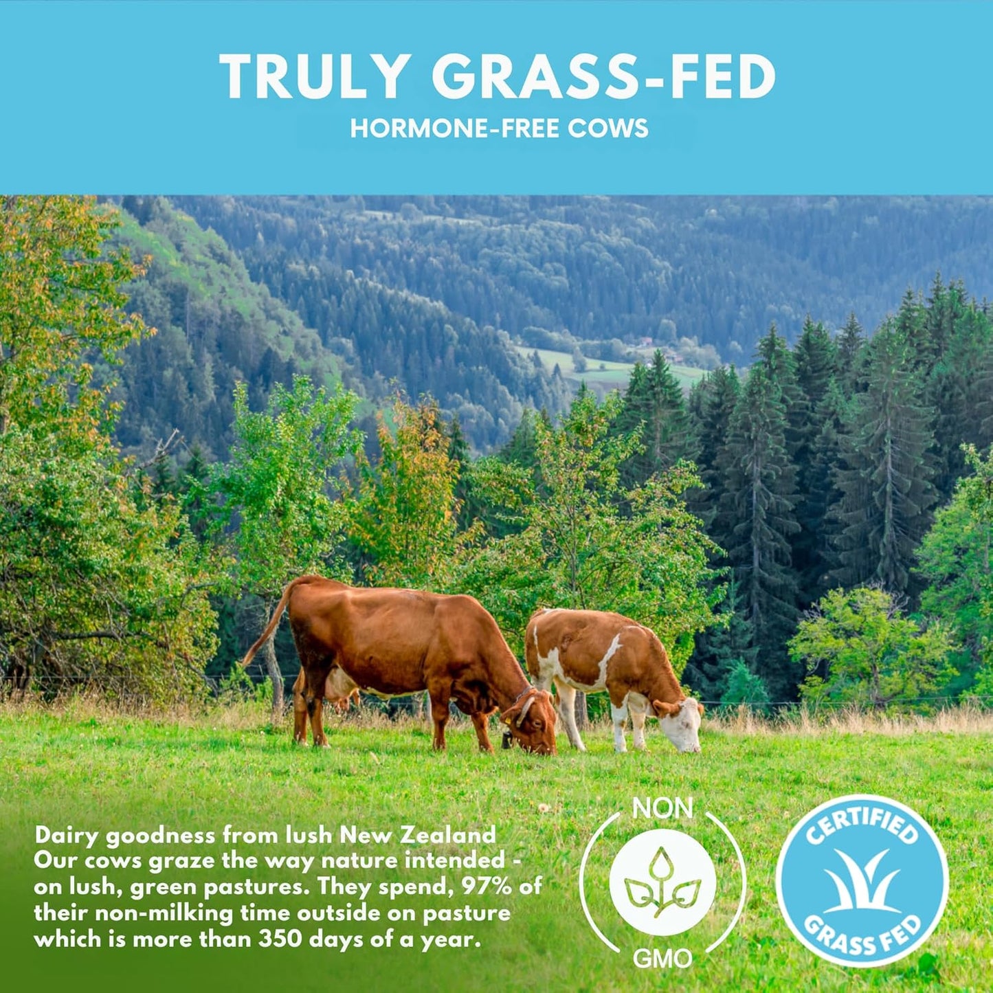 Grass Fed Whey Protein Powder Isolate - Unflavored - Low Carb Keto & Paleo Diet Friendly - Pure Grass-Fed Protein for Shakes, Smoothies, Drinks & Recipes- Non GMO & Gluten Free - 1 Pound