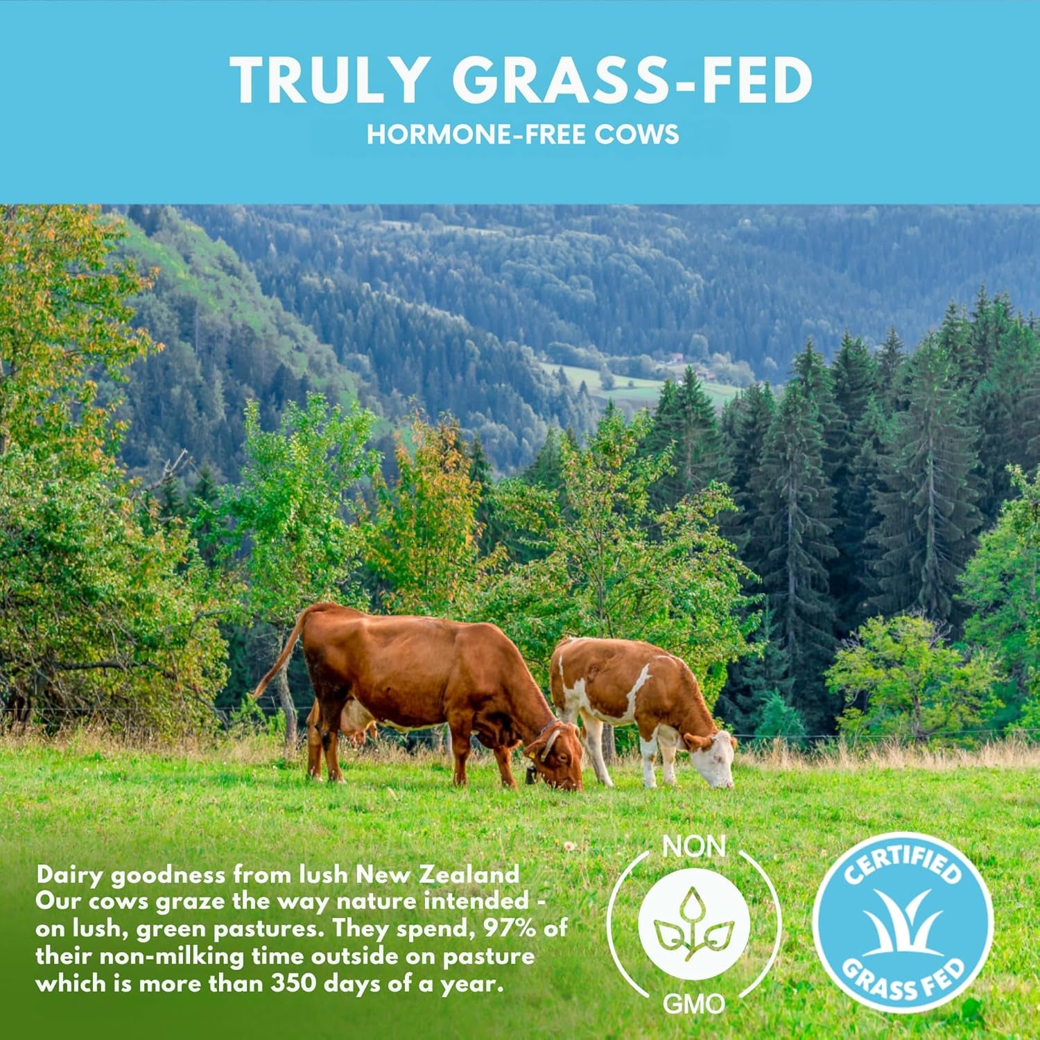 Grass Fed Whey Protein Powder Isolate - Unflavored - Low Carb Keto & Paleo Diet Friendly - Pure Grass-Fed Protein for Shakes, Smoothies, Drinks & Recipes- Non GMO & Gluten Free - 1 Pound